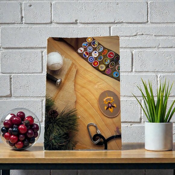 THE BOY SCOUT HANDBOOK~ 1990 The Trail To Eagle  10th Edition Vintage Paperback - Picture 2 of 3